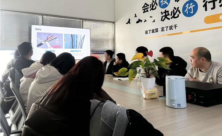 公司成功举办2025年第一季度例会培训，助力员工能力提升